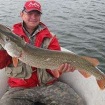 Всё для рыбалки от фирмы AIKO...., в Камышине