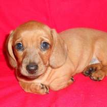 Такса Волгоград, в Волгограде