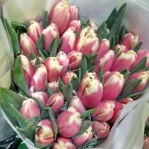 Тюльпаны к 8 марта!, в Улан-Удэ