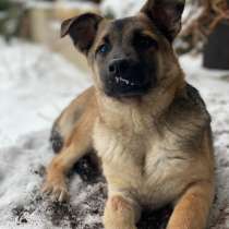4 мес чудесная Мартина хочет домой!, в Москве