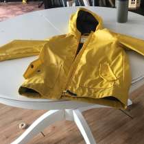 Дождевик желтый, в Москве