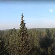 Лес на корню 1 090 806 м3, в Томске