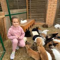 Контактный зоопарк Москва. ЭКСКУРСИЯ В ЗООПАРК, в Москве