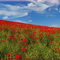 товары для дома и интерьера Магазин-Картин, в Тольятти