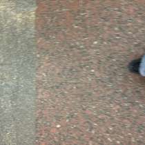 Клининговая компания, в Москве