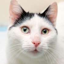 Мечтательная Матильда в поисках своего человека, в Москве