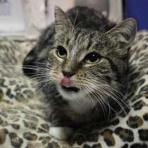 Почему судьба так жестока к Франсуазе, в Москве