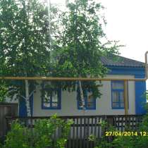 Дом в Нижнем Мамоне, в Воронеже