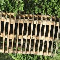 Поддоны, в Воронеже