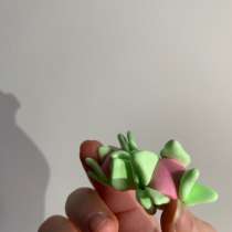 Драгон фрукт из игры в рб « вырасти сад», в Санкт-Петербурге