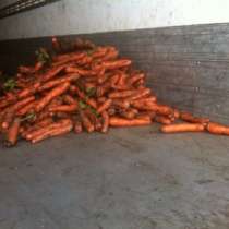 Продам морковь хорошего качества и товар, в Санкт-Петербурге
