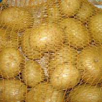 Картофель ранний, в Самаре