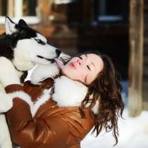 Щеночки хаски. черно-белые. голубоглазые и разноглазые, в Кирове