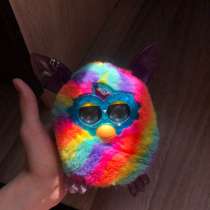 Furby ферби бум, в Майкопе