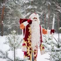 Дед Мороз и снегурочка!, в Орехово-Зуево