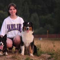 Дрессировка собак, в Мурманске