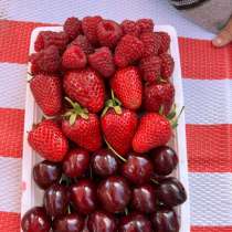 Фрукты, в Москве