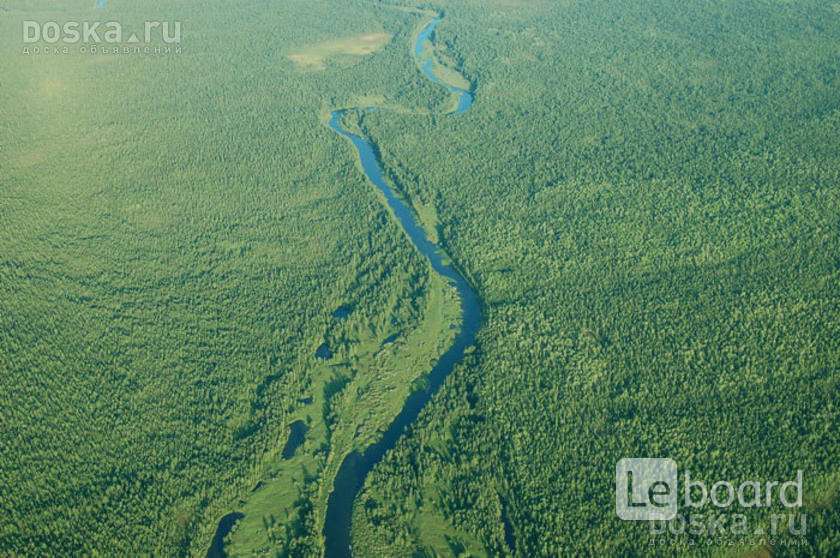 Фото Вырубленной Тайги Со Спутника