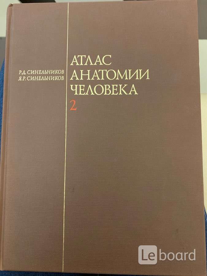 Анатомия в 2 томах. Атлас анатомии Синельников 2 том. Атлас анатомии человека Синельников 1989 в 2 томах. Атлас по анатомии Синельников 2 том Бишкек. Синельников атлас привес.